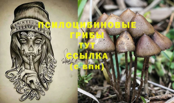 Альфа ПВП Арсеньев